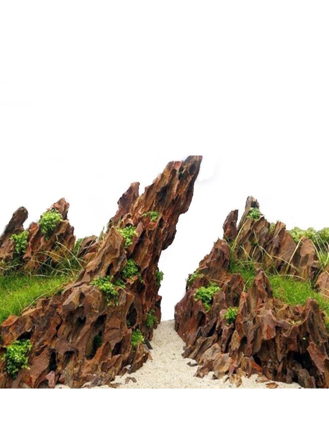 عشب مائي طبيعي خام لتزيين أحواض السمك الصخرية - 1 كجم - Image 1